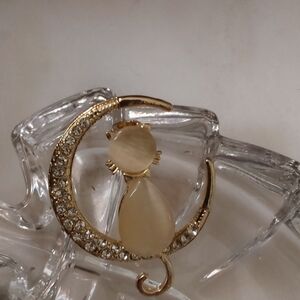NWOT Cat With Faux Moonstone, Sitting On The Moon Pin